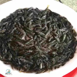 �ɰ������� ����̻������� ��������һĶ��ֳ����������