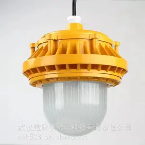 尚为SEVAZM上煤皮带照明 LED防爆灯BAD-100W 配料楼防爆灯