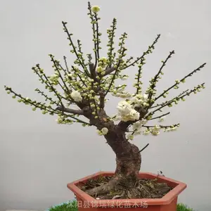 ��������÷�辰 ÷�� ��÷׮ ��÷�� ��ɰ÷����÷����÷