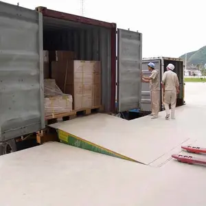 斯特朗力DCQG液压登车桥 厂房长款坡道卸货平台 8吨装柜平台