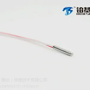超小型铂电阻温度传感器pt100pt1000温度探头 工厂个性化定制 铂基传感