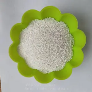 ��¡������ ԰������������ ��ɫ�п�΢��Ư��