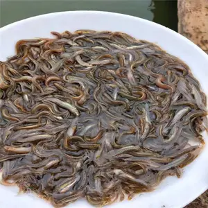 �ɳ����ڶ̴����� ������������ �������緱ֳ***
