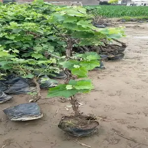 �����̹� 3-6�������������� ����ռ��3-2���ִ��������� ���������
