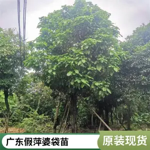 �����ȫ��Ƽ�Ź㶫�����м۸���˳ɻ�***���ز��ؼ۸�����Ƽ��
