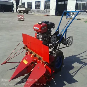 �̷��������ʵ����ո��/�ַ�ʽ�����ո��/��������֥���ɹ��