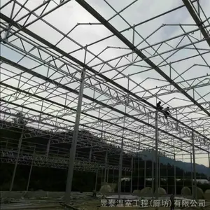 ��̩ �����չ����Ҵ���Ǽ� �ṹ�ȶ��������� YTWSGJ10216A