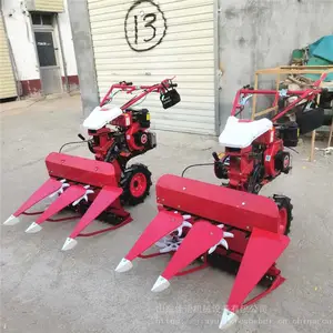 �����ַ�������ɹ�� ��С�͸�˻� �ǲ���ֳ�����ո��