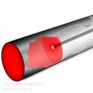���ڱ���ǹ
