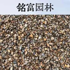 广 东英 德1-3cm鹅卵石 过滤垫层专用水洗原石 整车***