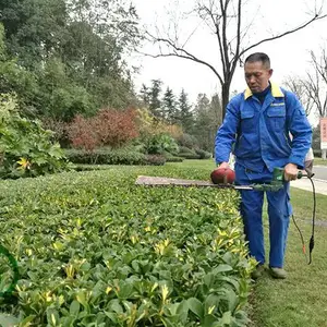 成都汇美园林绿化养护公司 小区社区住宅区绿植管理维护服务