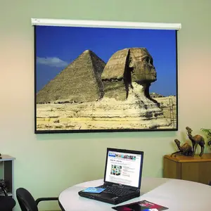 Draper Projection screen(����ͶӰĻ��100��綯16��10