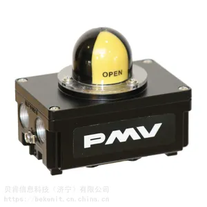 FLOWSERVE PMV�������غн��ߺм���͸�ʴ����������DSDM