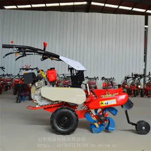 �³���ݮ������ ��԰ʩ�ʻ� �๦�ܲ��ʹ����������ֲ������¢��