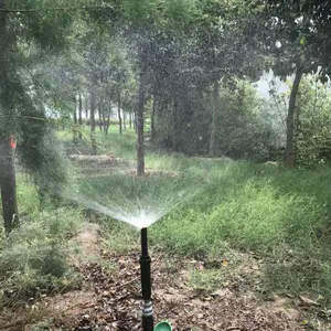 С�� ��԰��ˮ��ͷ �����ͷ