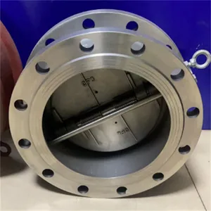 H46H-25C 铸钢法兰蝶式止回阀 微阻缓闭止回阀 DN350 DN300