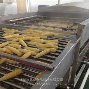 滚杠式清洗机 玉米去须清洗机厂家