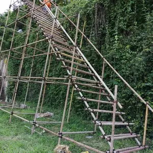 �������°����ͽ��ּܳ��ң������б����̼ң�����***