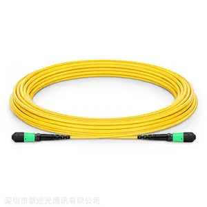 Fipos MPO/APC(母)-MPO/APC(母)单模OS2主干光纤跳线 可定做