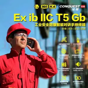 ���ܷ��������ֻ�������ʯ����Ȼ��ȼ��DMR�Խ�Ѳ�춨λ
