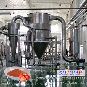 番茄粉加工生产线 番茄喷雾干燥粉 番茄红素加工生产线 番茄加工设备