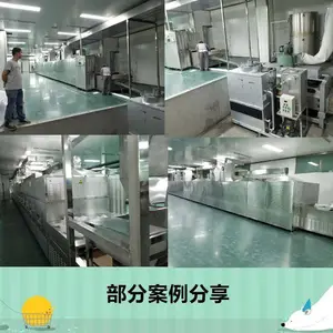 隧道式红枣微波杀菌设备 大枣烘干设备