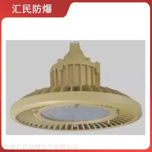 RDB98-9610防爆免维护节能灯 安徽汇民防爆