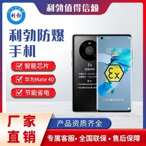 ��ҵ�������������ֻ�***ͨ˫��˫����������ʯ����Ȼ��ҩmate40
