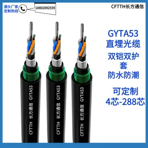 48оGYTA53������� GYTA53-48B1������������ GYFTA53�������³���