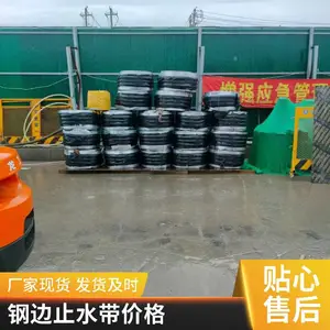 ��ֹˮ�� ��������300*8mm ����ʽ�����ֱߴ� ���ܶ���