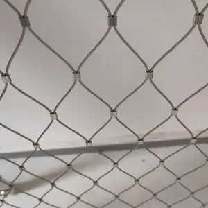 ��¡ ������������� ѧУ���߿�׹���˿����