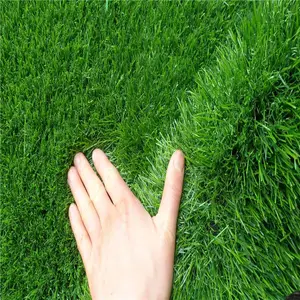 �׶�԰ר�������ƺ ���������Ƥ �����������ƺ