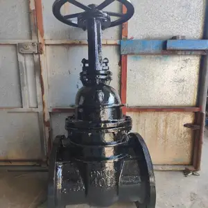 Z45T-16Q DN50 防护闸阀厂家发货暗杆法兰硬密封软密封弹性座封球墨