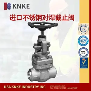 进口不锈钢对焊截止阀 精密控制 美国科恩科KNKE品牌