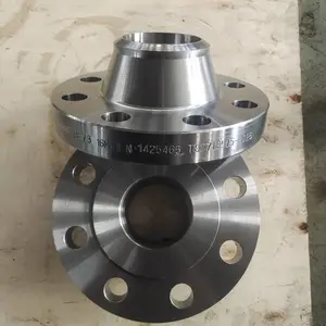 ����˫��ָ�ѹ���� 2507����ƽ�� DN300 2205���� ä��
