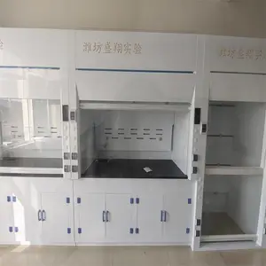 山 东 全钢通风橱落地式耐酸碱PP通风柜桌上型通风橱