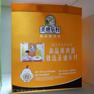 山东彩汇包装定制无纺布***手提袋、无纺布手提袋、面粉包装袋、帆布袋