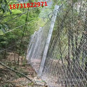辽宁tecco高强度钢丝格栅网@矿山复绿铁丝网规格@高速护坡拦石边坡防护网