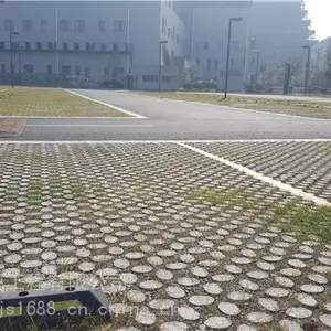 高承载植草地坪模具_生产厂家_包施工
