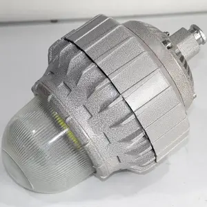 武汉 LED应急防爆灯