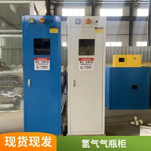 CHENGLIN/成霖全钢防爆气瓶柜配有二代数显，EX防爆