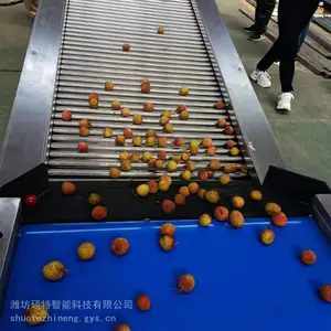 ����ѡ���� ˮ����С��ѡ�� ���ܲ�����ʽ�ּ��