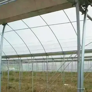 车厘子联动棚宜宾筠连简易单体棚