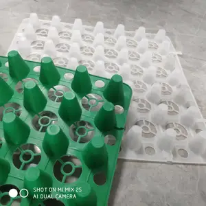 ����ä������ ��ˮ�� ä�� ��ˮ�� ������ �޷Ĳ� ����ä�� ��֧��ä������