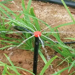地插涌泉