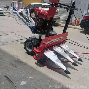 С����1.2�׿����ɸ�ɹ�� ������ѻ� һ�ߵ�ũ�ø�ݻ�
