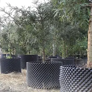 ���Ի�����ľ��������ظ����� ��30cm���Ͽظ��� ��ľ����Χ��