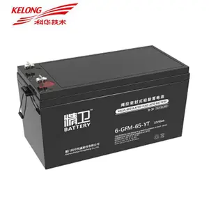 �ƻ���ƿ 6-GFM-100-YT �������� 12V100AH