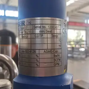 意大利LESER先导式安全阀4373.2602用于化工行业使用现货