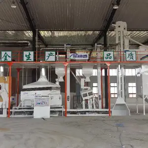 上海20吨/小时种子加工生产厂家 服务至上 南京凯铂睿农业科技供应
